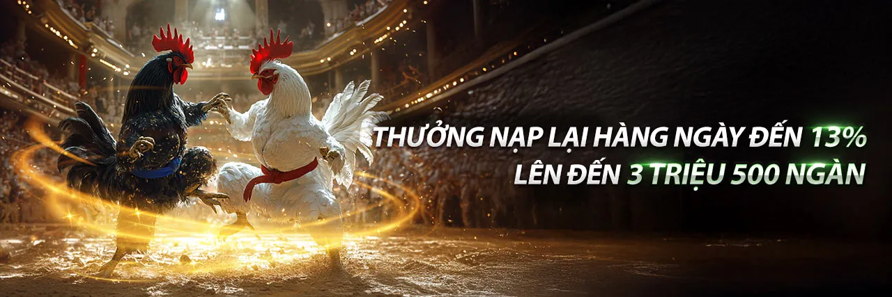 Gacam Điều khoản Dịch vụ